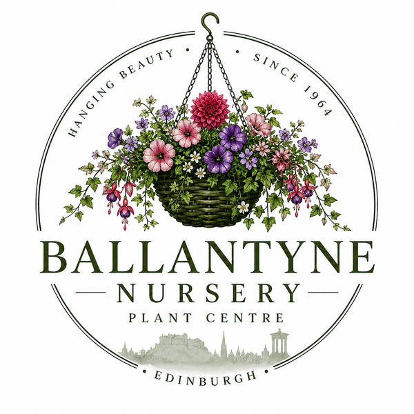 Ballantyne Nursery
