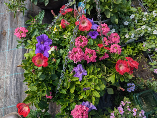 Hanging Basket - The Ballantyne Signature