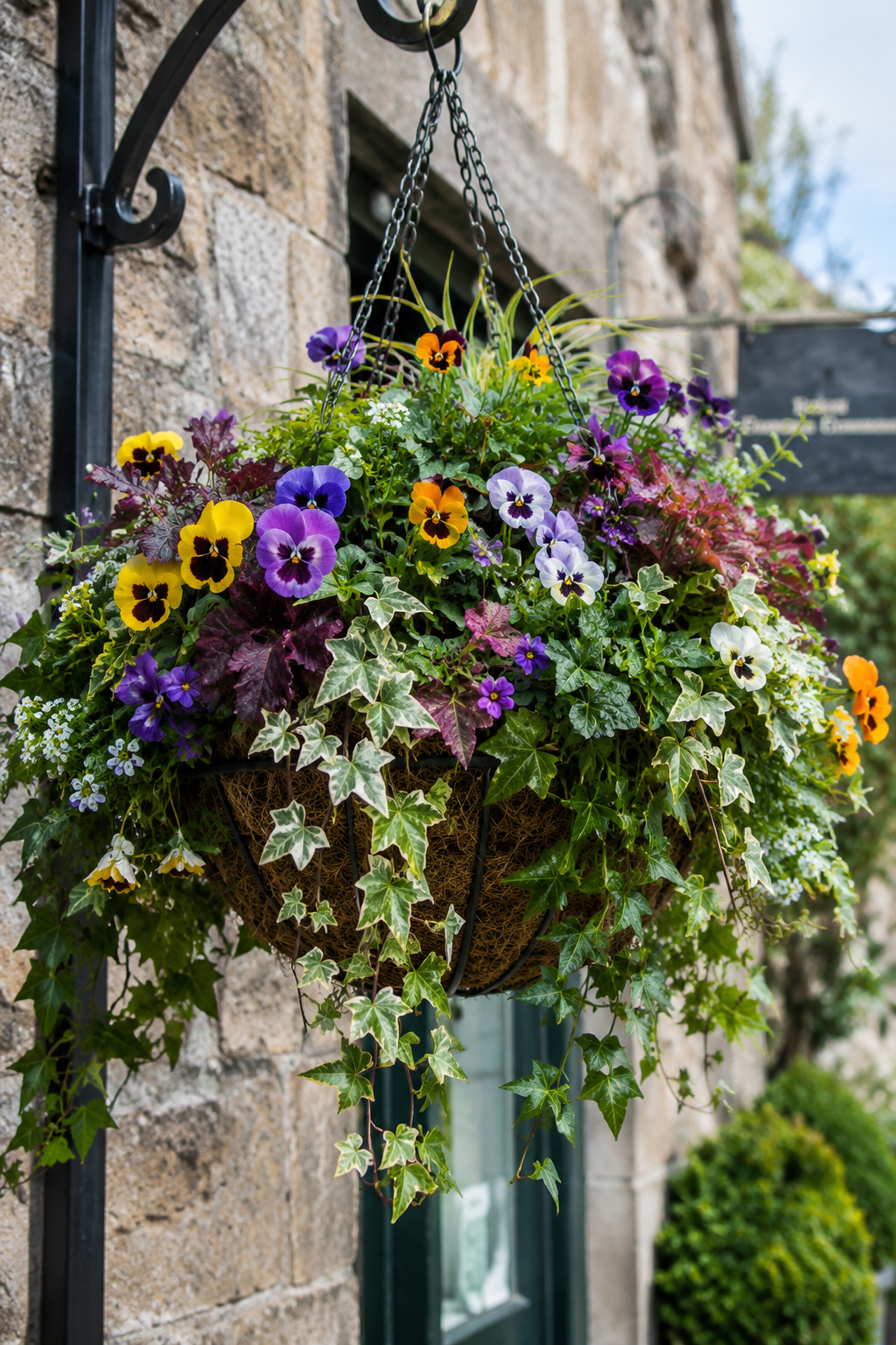 Hanging Basket - Ballantyne's Seasonal - Small